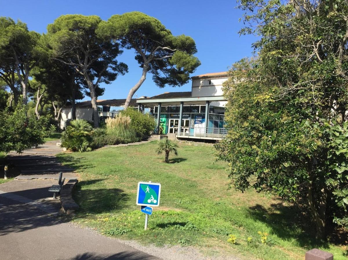 Studio Cosy Au Centre Port Du Cap D'Agde Eksteriør billede